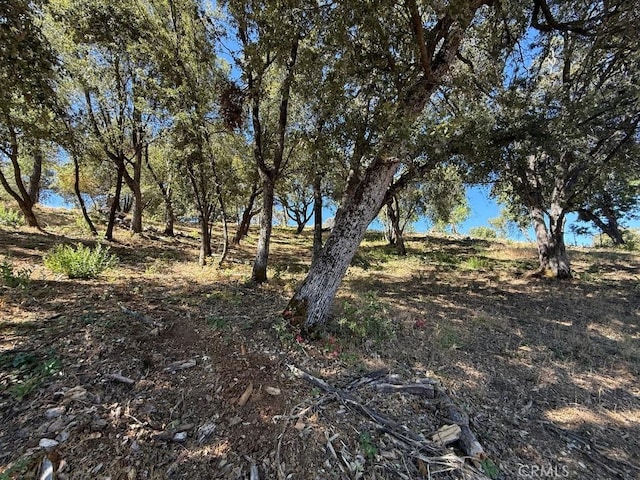 5710 Clouds Rst, Mariposa, CA 95338 - photo 5