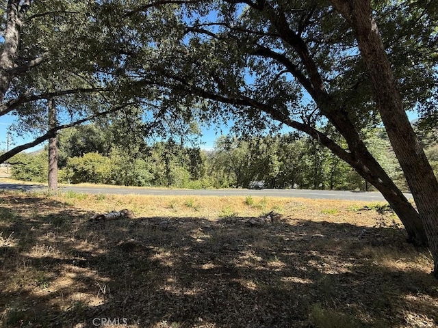 5710 Clouds Rst, Mariposa, CA 95338 - photo 1