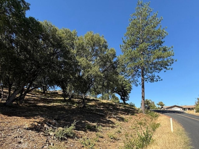 5710 Clouds Rst, Mariposa, CA 95338 - photo 8