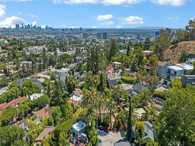 6222 Glen Airy St, Los Angeles, CA 90068 - photo 37