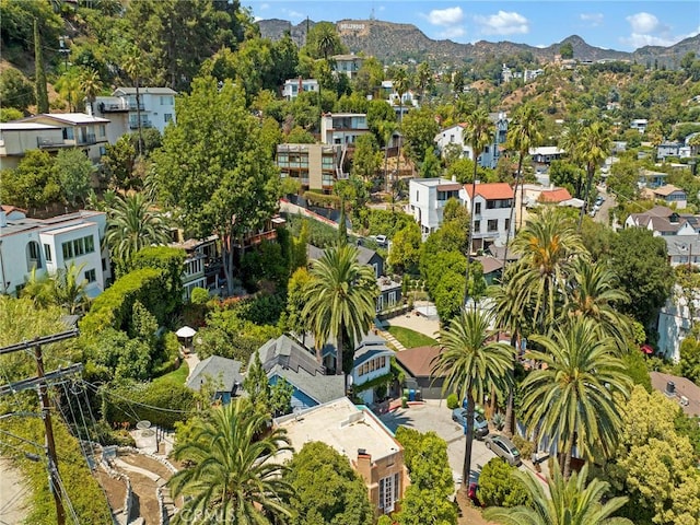 6222 Glen Airy St, Los Angeles, CA 90068 - photo 36