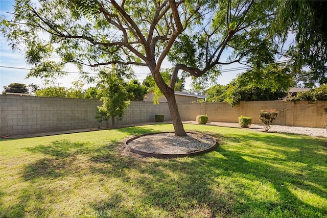 1033 W L St, Wilmington, CA 90744 - photo 14