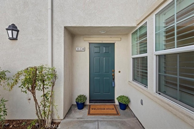 36334 Cinzia Ln, Winchester, CA 92596 - photo 3