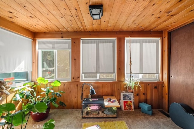 1705 Spruce Ave, Chico, CA 95926 - photo 24