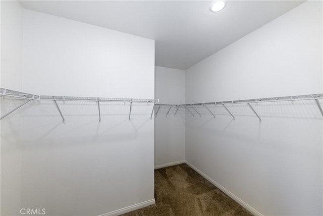 25952 Rutherford Ct, Homeland, CA 92548 - photo 22