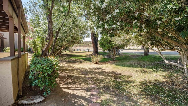 23960 Green Haven Ln, Ramona, CA 92065 - photo 22