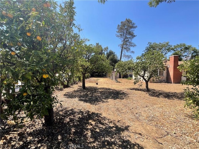13655 Sayre St, Sylmar, CA 91342 - photo 3