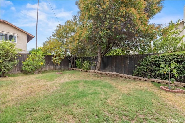 7826 Winnetka Ave, Winnetka, CA 91306 - photo 37