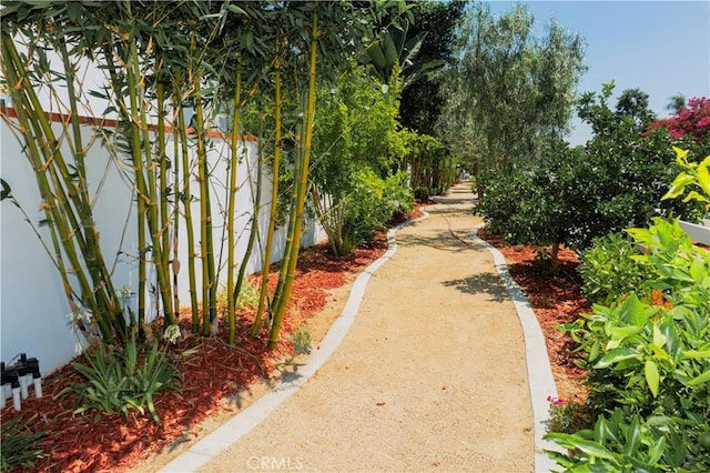 5525 Dover St, Chino, CA 91710 - photo 6