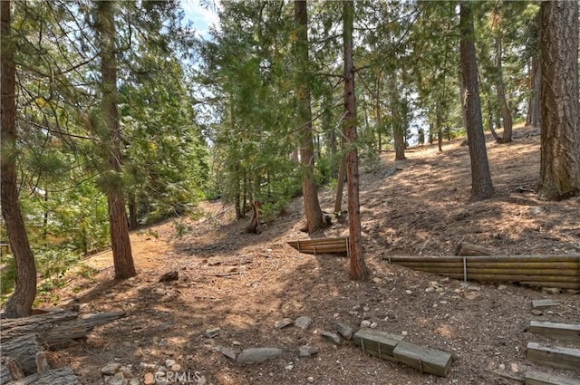 26746 Oakmont Dr, Lake Arrowhead, CA 92352 - photo 29