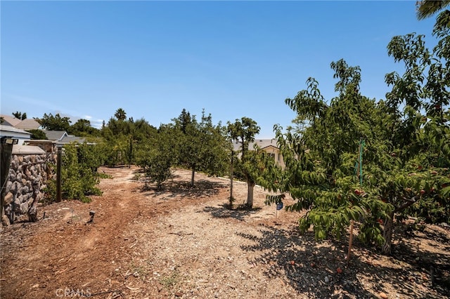 5800 Ridgeway Rd, Rancho Cucamonga, CA 91701 - photo 19