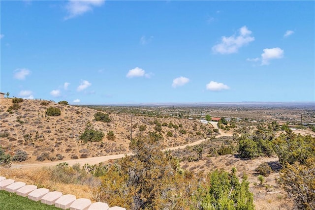 8316 Lona Ln, Pinon Hills, CA 92372 - photo 6