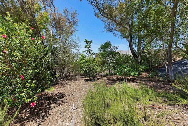 3547 Southfork Dr, Norco, CA 92860 - photo 59