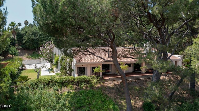 872 Flores De Oro, South Pasadena, CA 91030 - photo 50