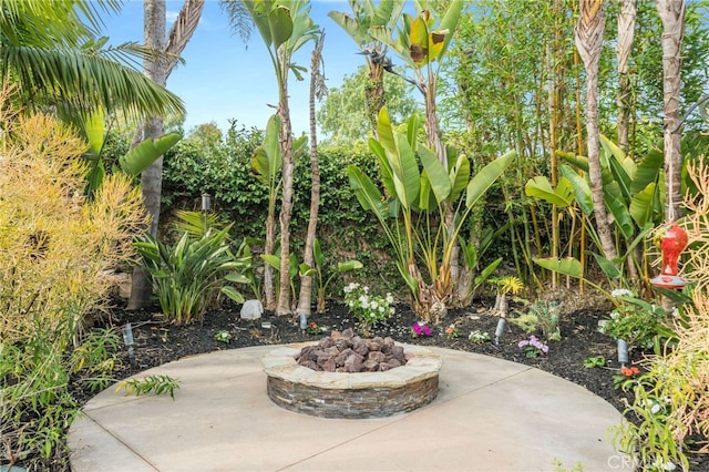 24531 Priscilla Dr, Dana Point, CA 92629 - photo 38