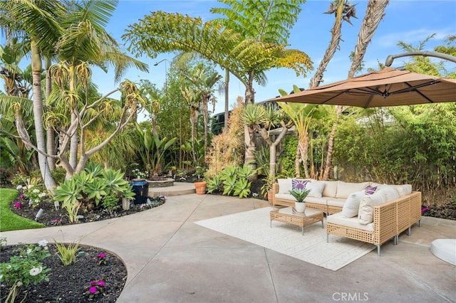 24531 Priscilla Dr, Dana Point, CA 92629 - photo 36