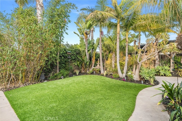 24531 Priscilla Dr, Dana Point, CA 92629 - photo 39