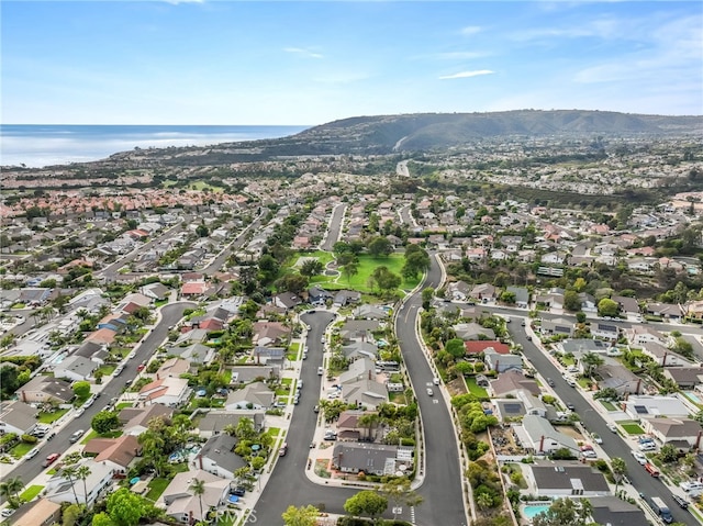 24531 Priscilla Dr, Dana Point, CA 92629 - photo 44