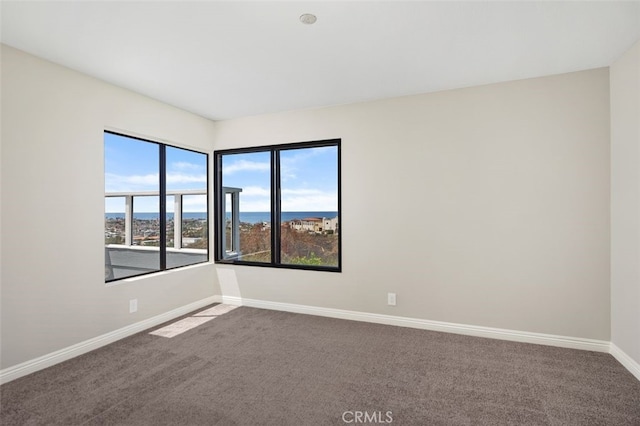 2031 Via Concha, San Clemente, CA 92673 - photo 26