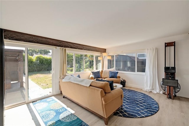 22951 Walnut St, Torrance, CA 90501 - photo 15