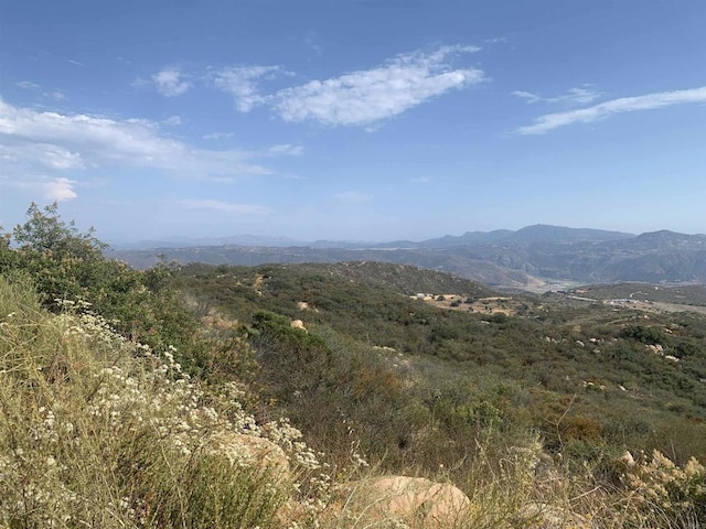 17484 Rockwood Rd, Escondido, CA 92027 - photo 8