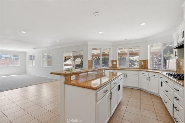 3238 Ryans Pl, Lancaster, CA 93536 - photo 12