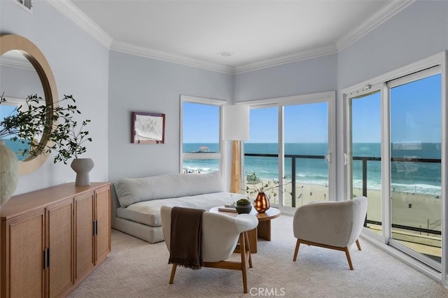 1508 The Strand, Manhattan Beach, CA 90266 - photo 33