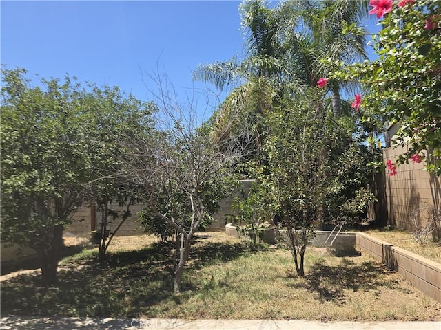 1028 W Woodcrest St, Bloomington, CA 92316 - photo 19