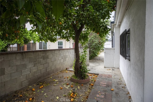 13811 Valerio St, Van Nuys, CA 91405 - photo 28