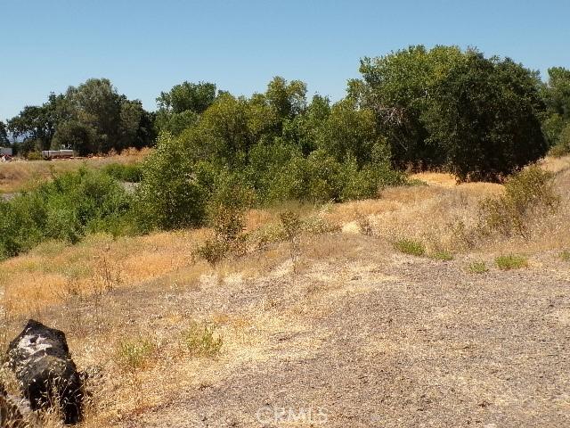 4455 Loasa Rd, Kelseyville, CA 95451 - photo 2