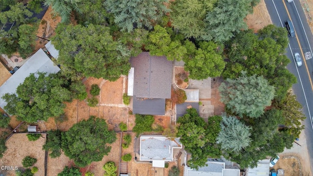11668 N Ventura Ave, Ojai, CA 93023 - photo 4