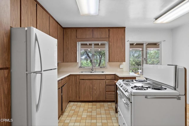 11668 N Ventura Ave, Ojai, CA 93023 - photo 8
