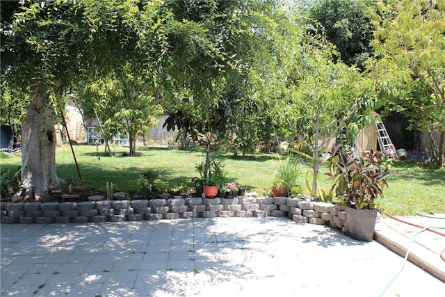 7904 Crowndale Ave, Whittier, CA 90606 - photo 9