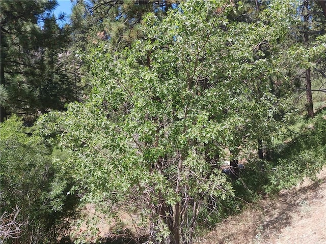 0 Big Bear Blvd, Big Bear Lake, CA 92315 - photo 5
