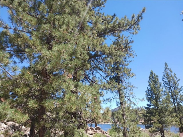 0 Big Bear Blvd, Big Bear Lake, CA 92315 - photo 1