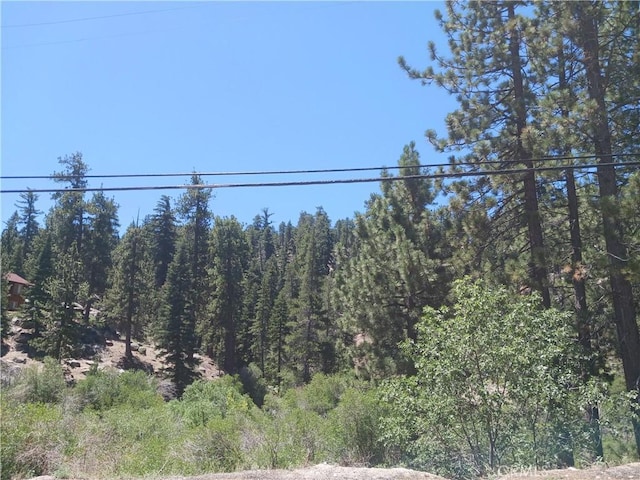 0 Big Bear Blvd, Big Bear Lake, CA 92315 - photo 3