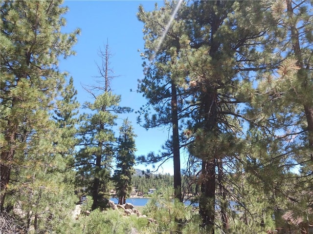 0 Big Bear Blvd, Big Bear Lake, CA 92315 - photo 2