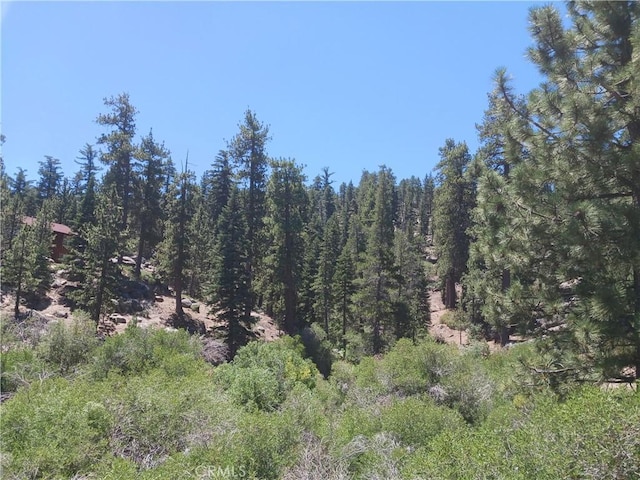 0 Big Bear Blvd, Big Bear Lake, CA 92315 - photo 6