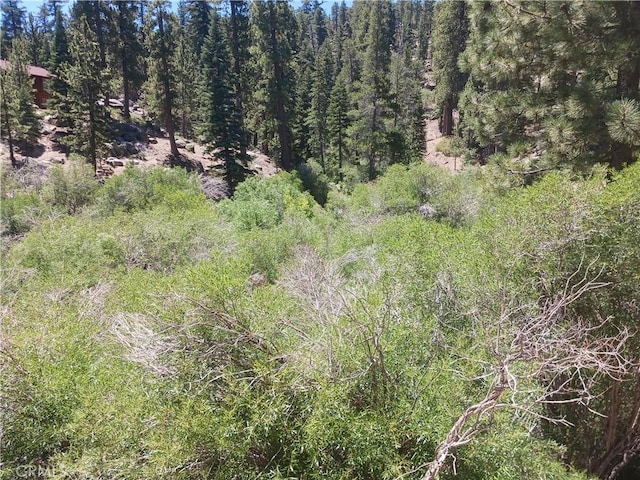 0 Big Bear Blvd, Big Bear Lake, CA 92315 - photo 4