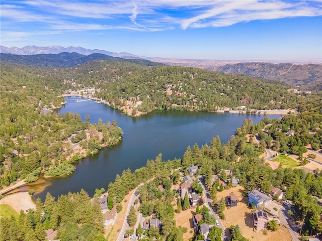 23730 Shady Ln, Crestline, CA 92325 - photo 34