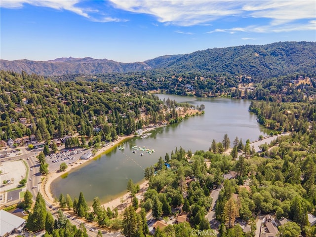 23730 Shady Ln, Crestline, CA 92325 - photo 35