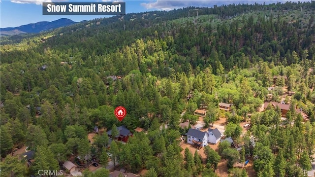 793 Knight Ave, Big Bear Lake, CA 92315 - photo 2