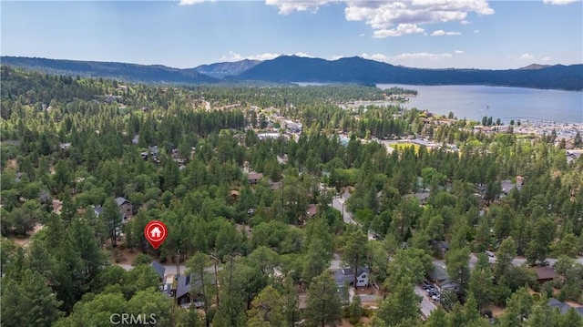 793 Knight Ave, Big Bear Lake, CA 92315 - photo 3