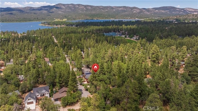 793 Knight Ave, Big Bear Lake, CA 92315 - photo 20