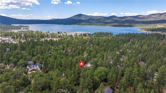 793 Knight Ave, Big Bear Lake, CA 92315 - photo 21