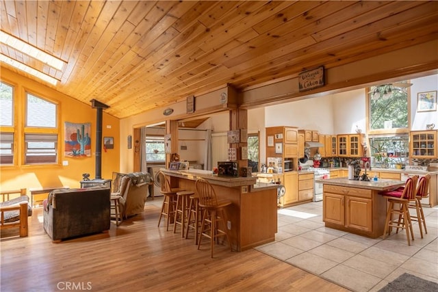 793 Knight Ave, Big Bear Lake, CA 92315 - photo 32