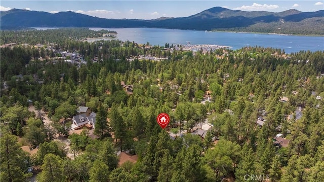 793 Knight Ave, Big Bear Lake, CA 92315 - photo 25