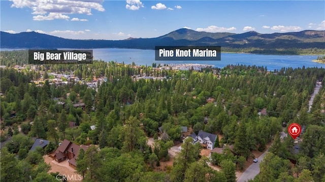 793 Knight Ave, Big Bear Lake, CA 92315 - photo 22