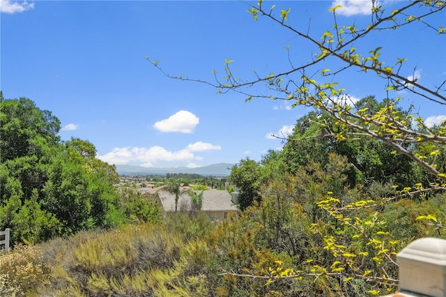 38236 Oak Bluff Ln, Murrieta, CA 92562 - photo 61