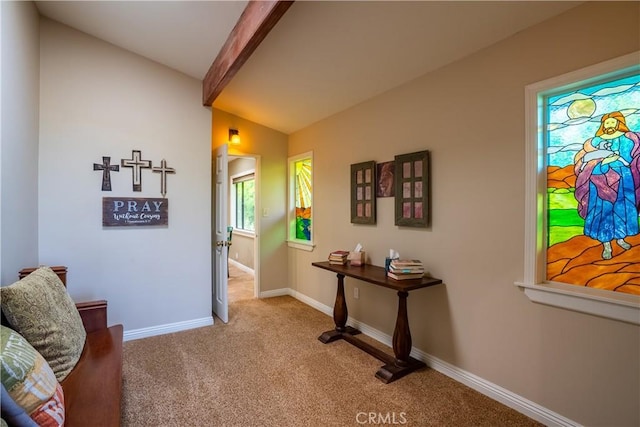10845 Meads, Orange, CA 92869 - photo 53